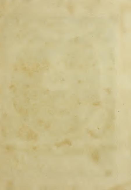 Image of page -2